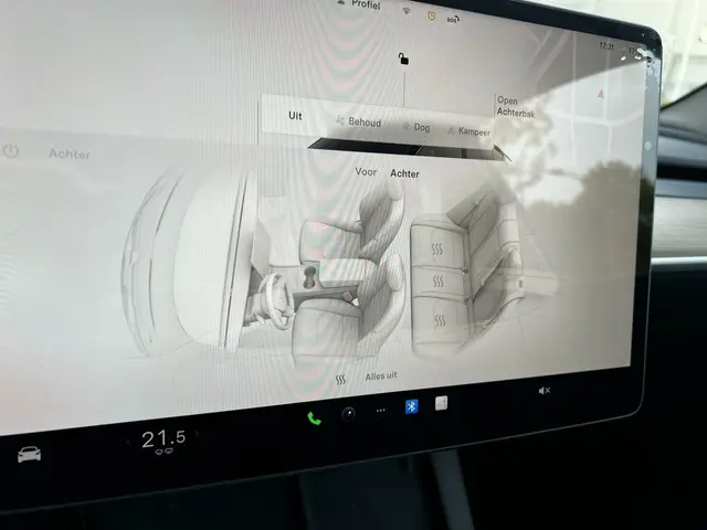 Tesla Model Y Performance AWD 75 kWh 2022 Elektrisch 9