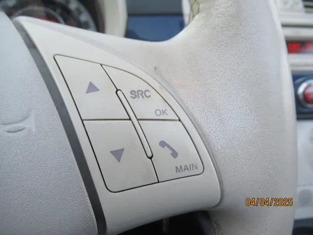 Fiat 500C 1.2 Lounge 2013 Benzine 15