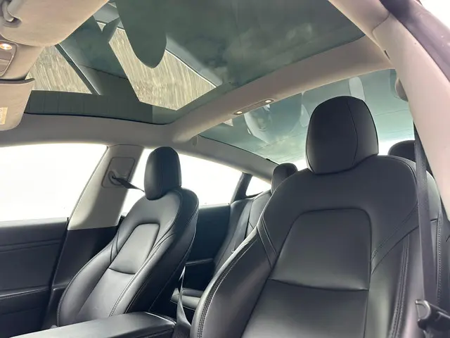 Tesla Model 3 Standard RWD Plus 60 kWh 2020 Elektrisch 20