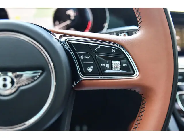 Bentley Bentayga 4.0 V8 First Edition 2021 Benzine 41