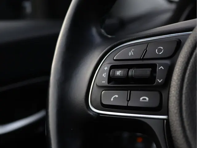 Kia e-Niro ExecutiveLine 64 kWh 2019 Elektrisch 38