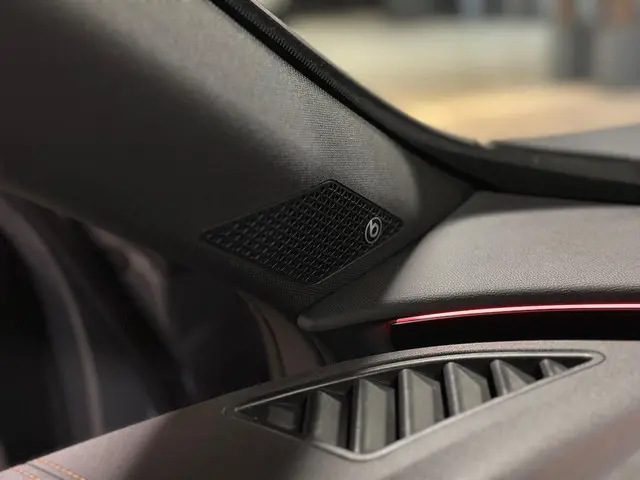 CUPRA Formentor 2.0 TSI VZ 4DRIVE|PANO|BOMVOL! 2020 Benzine 14