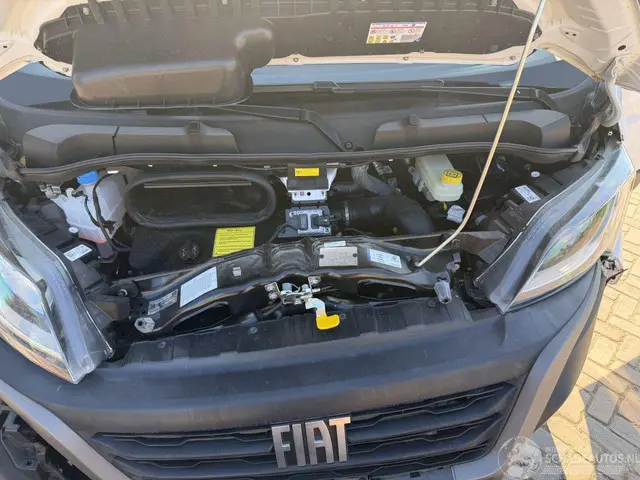 Fiat Ducato Maxi 35HD 2.2 103 kW NEW car 2024 Diesel 15
