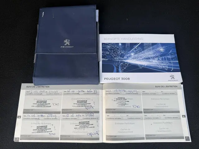 Peugeot 3008 1.2 PureTech Allure 2019 Benzine 25