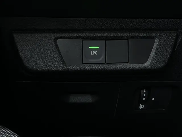 Dacia Sandero 1.0 TCe 100 Bi-Fuel Comfort 2021 LPG/Gas 34