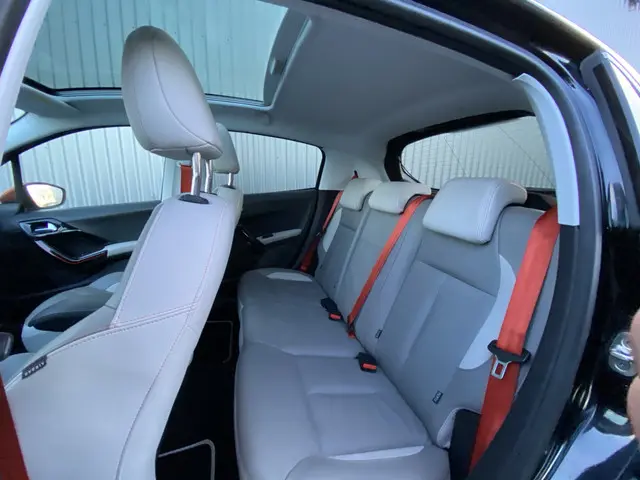 Peugeot 208 1.2 e-VTi Roland Garros 2014 Benzine 6