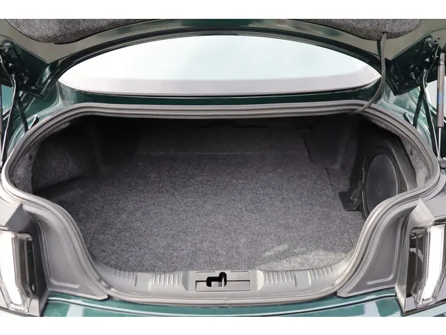 Ford Mustang Fastback Bullitt 2019 Benzine 17