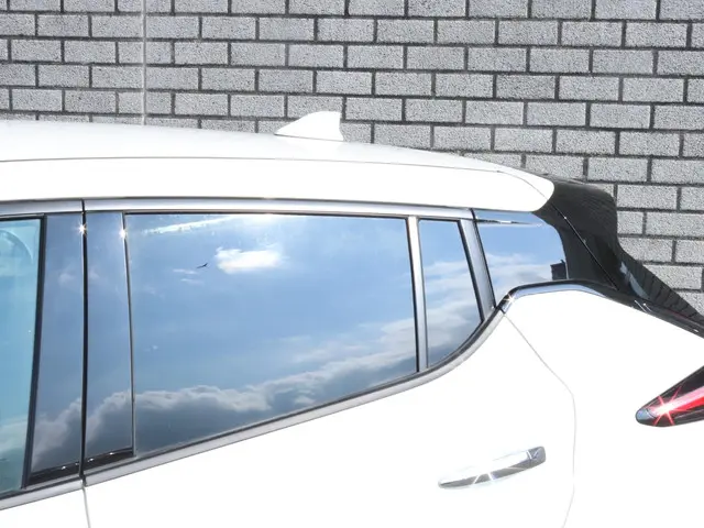 Nissan Leaf Tekna 40 kWh 2022 Elektrisch 26
