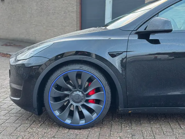 Tesla Model Y Performance AWD 75 kWh 2022 Elektrisch 9
