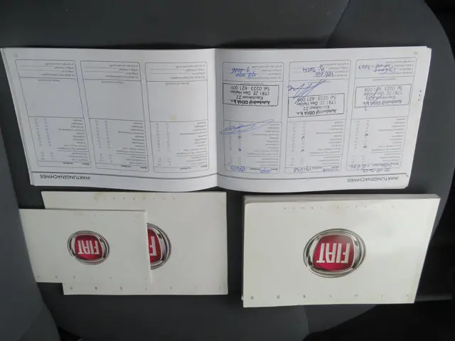 Fiat 500 1.2 Naked 2008 Benzine 23