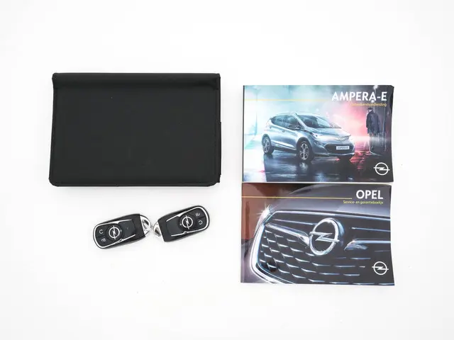 Opel Ampera-e Business Executive 60 kWh 2019 Elektrisch 28