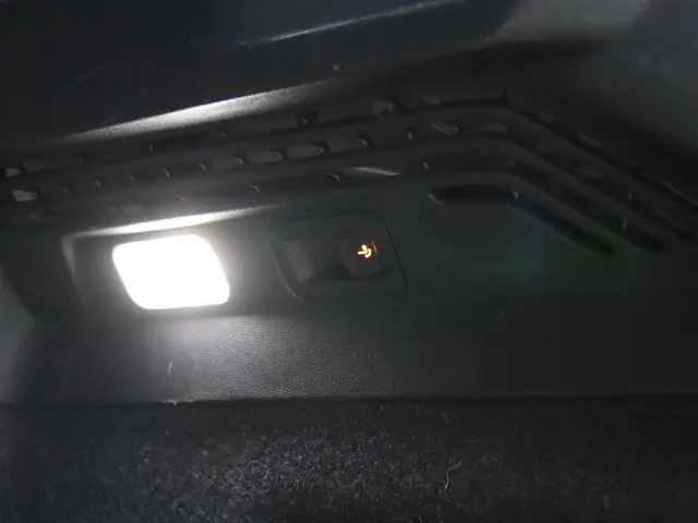 Volkswagen ID.4 First 77 kWh 2020 Elektrisch 16