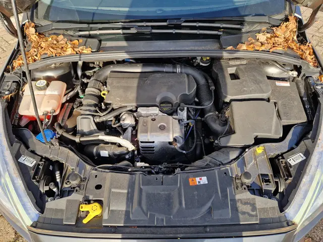 Ford Focus 1.0 Trend Edition 2015 Benzine 10