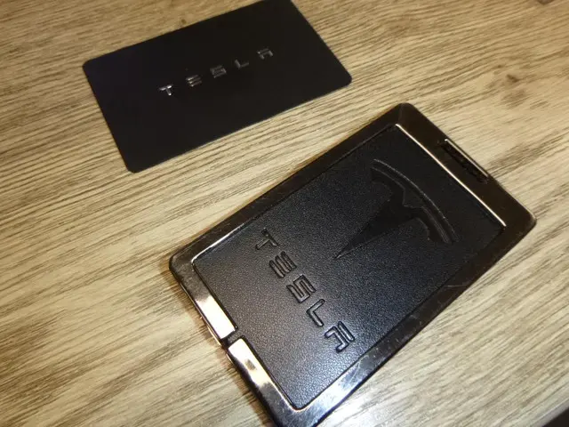 Tesla Model 3 Standard RWD Plus 60 kWh 2019 Elektrisch 17
