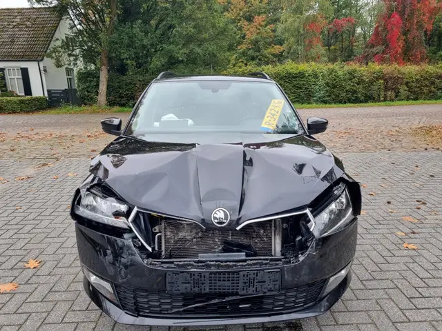 Škoda Fabia Combi 1.0 TSI DSG Ambition 2022 Benzine 8