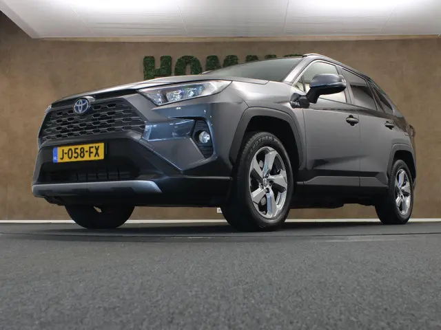 Toyota RAV4 2.5 Hybrid Style 2020 Hybride Benzine 13