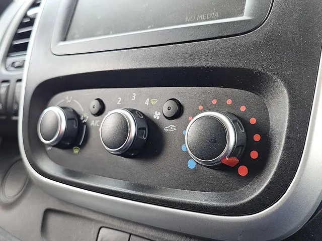 Renault Trafic 2.0 DCI 2020 Diesel 10