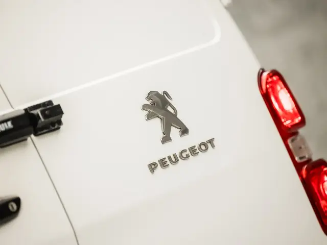 Peugeot Expert 231C 2.0 BlueHDI 120 Pro 2019 Diesel 20
