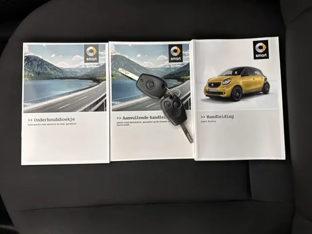 Smart Forfour 1.0 Pure Cool&Audio Pack 2016 Benzine 26