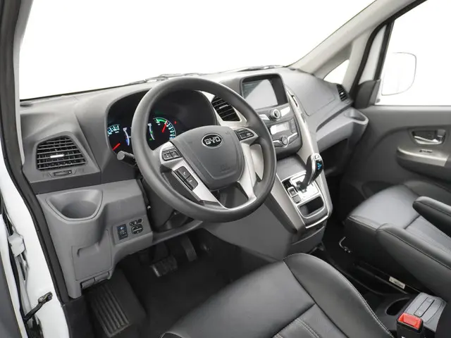 BYD ETP3 Standard 45 kWh 2023 Elektrisch 18