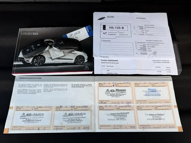 DS DS 4 1.2 PureTech 1955 2015 Benzine 16