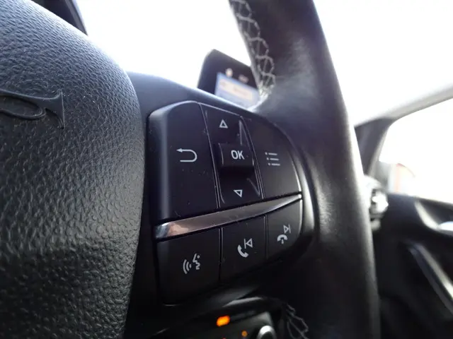 Ford Fiesta 1.0 EcoBoost Titanium 2019 Benzine 15