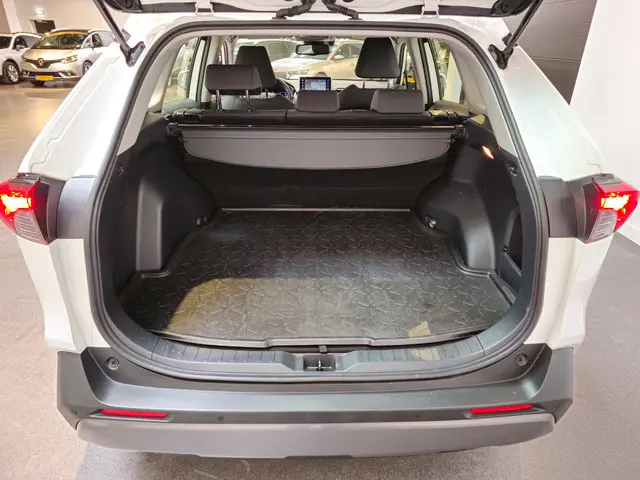 Toyota RAV4 2.5 Hybrid 2021 Hybride Benzine 25