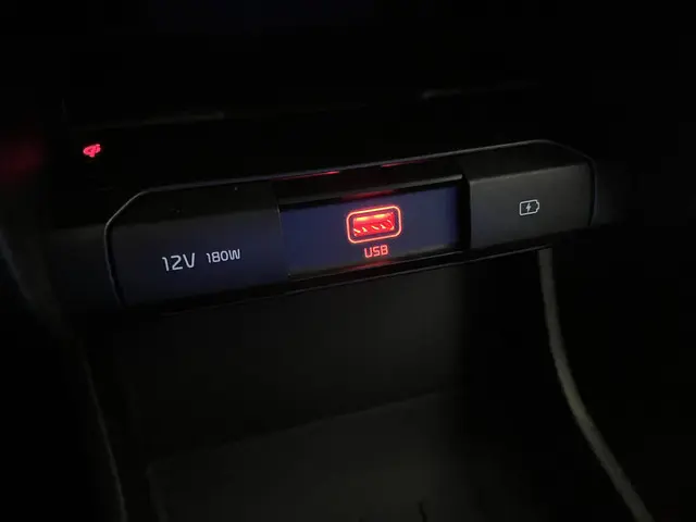 Kia e-Niro ExecutiveLine 64 kWh 2021 Elektrisch 32