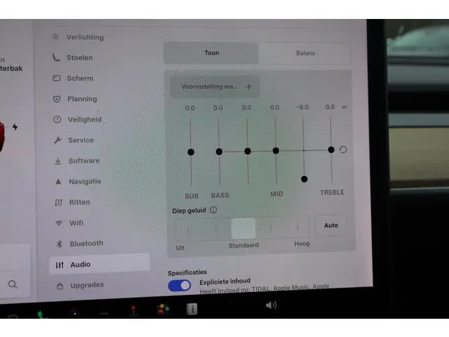 Tesla Model 3 Long Range AWD 75 kWh 2019 Elektrisch 44