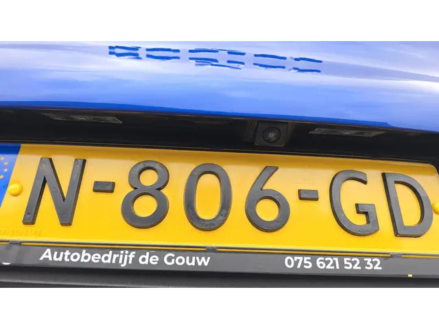 Renault Kadjar 1.3 TCe Intens 2019 Benzine 15