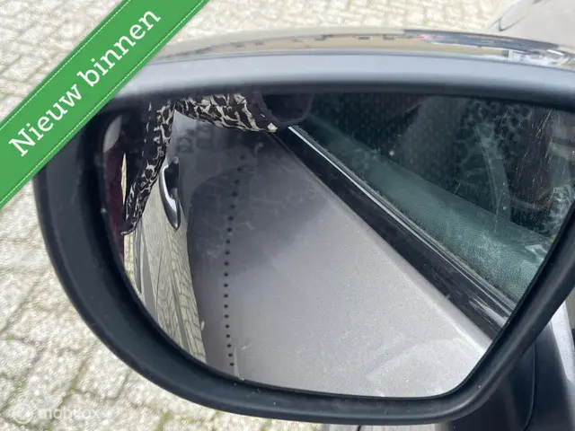 Renault Captur 0.9 TCe Intens 2018 Benzine 14