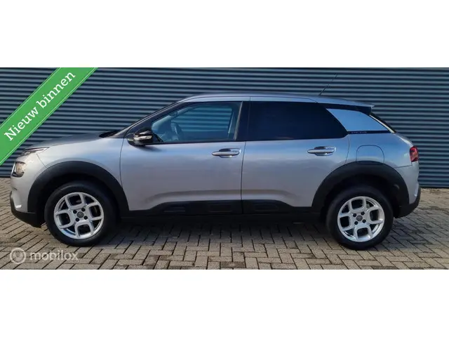 Citroën C4 Cactus 1.2 PureTech Business 2019 Benzine 6