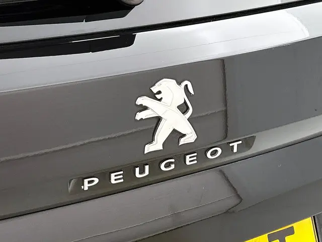 Peugeot 3008 1.6 e-THP Blue Lease Premium 2018 Benzine 19