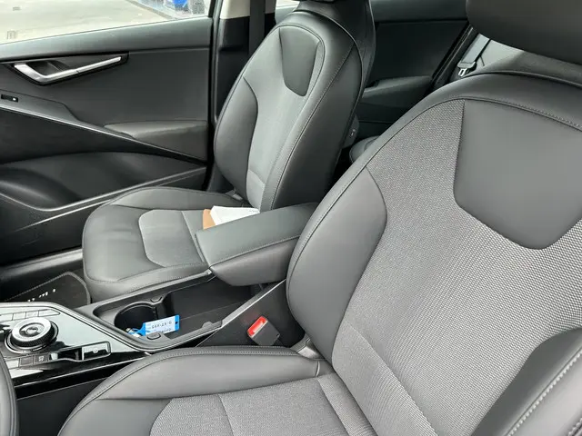Kia Niro EV DynamicLine 64.8 kWh 2024 Elektrisch 13