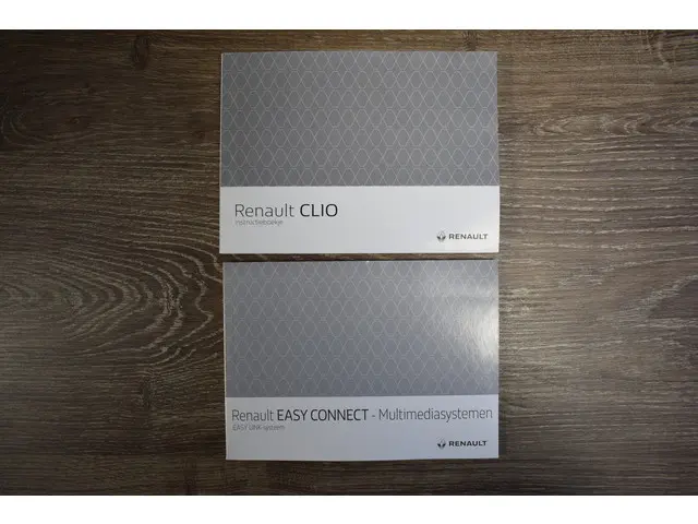 Renault Clio 1.0 TCE Zen 2019 Benzine 31
