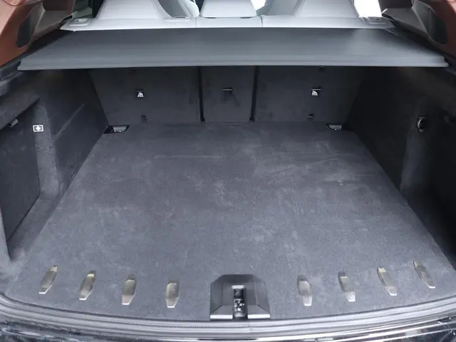 BMW XM 50e 2025 Hybride Benzine 12