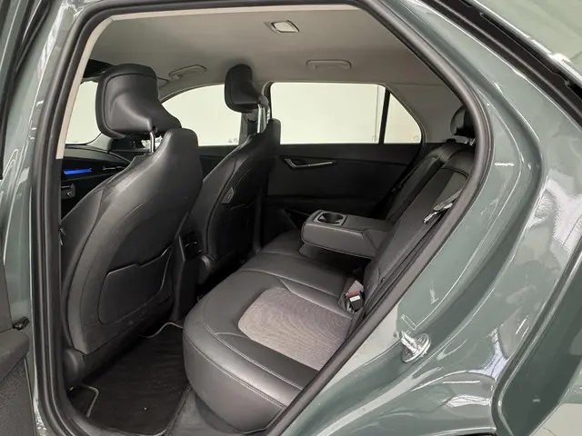 Kia Niro EV DynamicLine 64.8 kWh 2022 Elektrisch 30