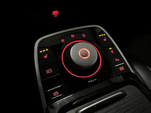 Kia e-Niro DynamicPlusLine 64 kWh 2021 Elektrisch 11