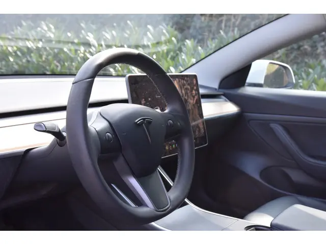 Tesla Model 3 Standard RWD Plus 60 kWh 2020 Elektrisch 6