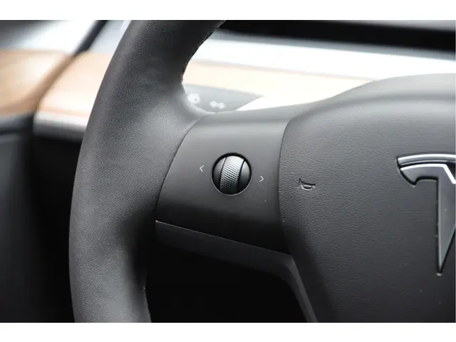 Tesla Model 3 Long Range AWD 75 kWh 2022 Elektrisch 21