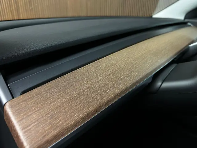 Tesla Model 3 Long Range AWD 75 kWh 2022 Elektrisch 23