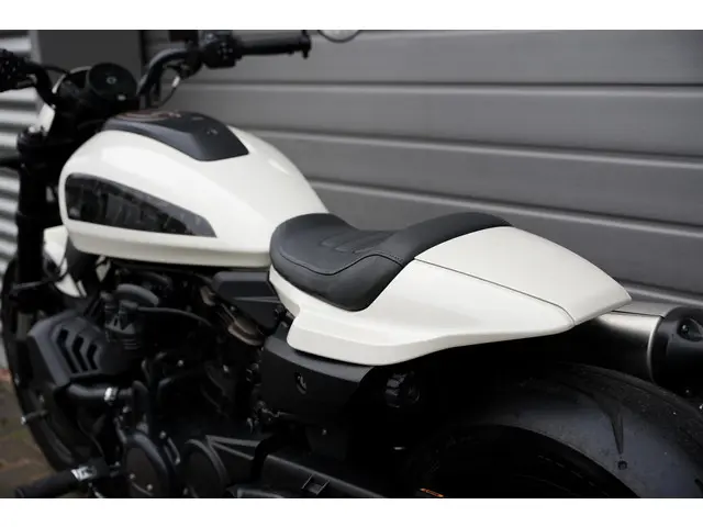Harley-Davidson Sportster 1250 S S 2023 2023 Benzine 17