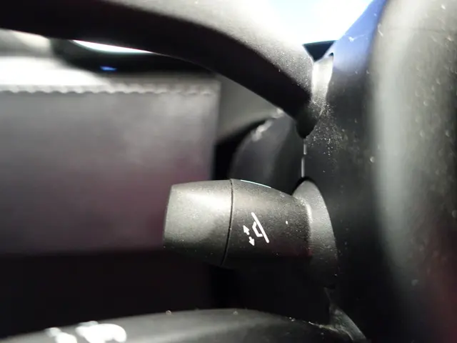 Tesla Model S 75D Performance Pack 2018 Elektrisch 26