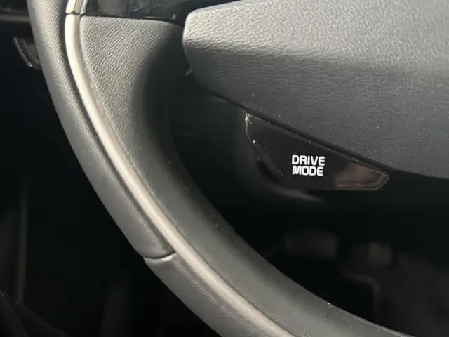 Kia Niro EV DynamicLine 64.8 kWh 2022 Elektrisch 34