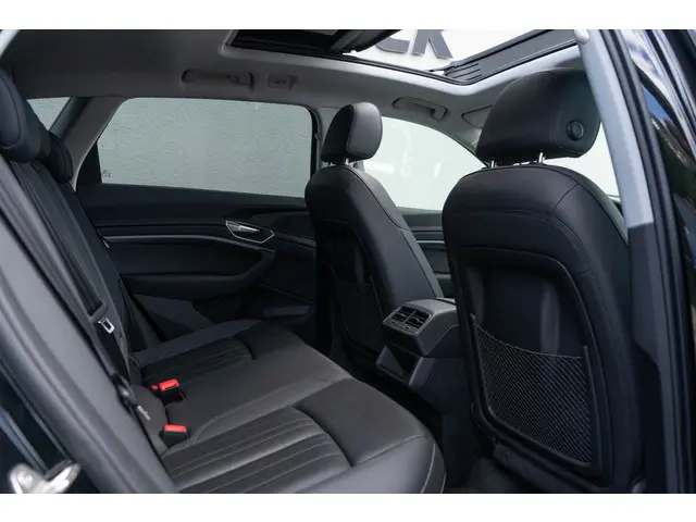 Audi e-tron 50 Quattro 2019 Elektrisch 13