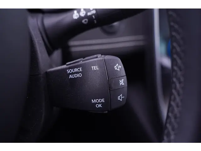 Renault Grand Scénic 1.3 TCe Techno 7p. 2022 Benzine 25