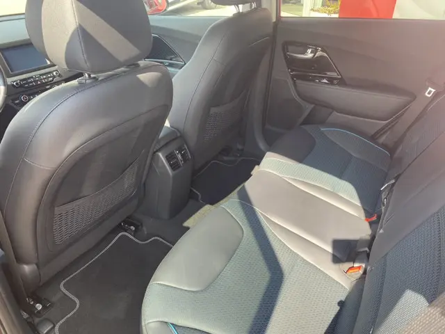 Kia e-Niro ExecutiveLine 2019 Elektrisch 11