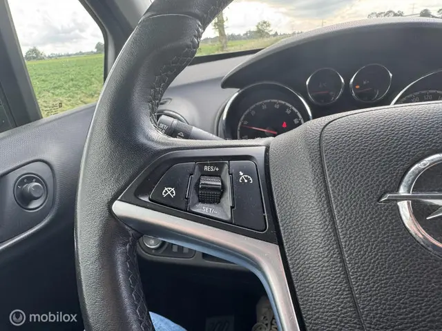 Opel Meriva 1.4 Turbo Color Edition 2012 Benzine 17