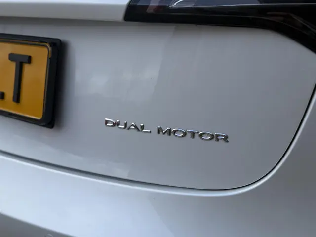 Tesla Model 3 Long Range AWD 75 kWh 2021 Elektrisch 36