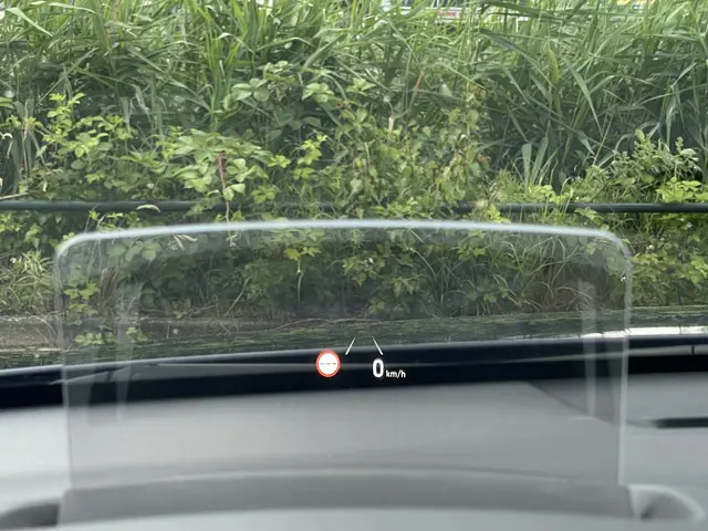Hyundai Kona EV Limited 64 kWh 2020 Elektrisch 28